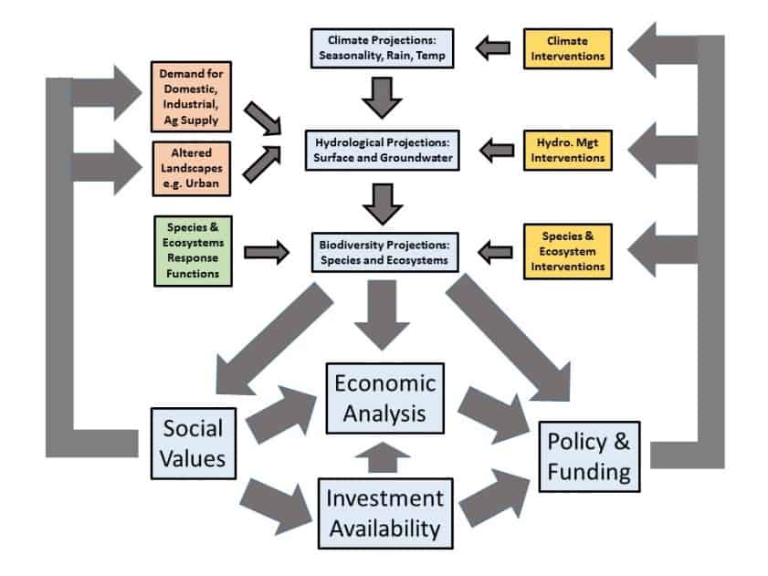 Diagram represents a decision making environment